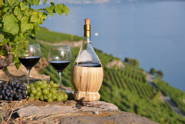 czerwonego wina i winogron. w regionie Lavaux, Szwajcaria - Zdjęcie, obraz