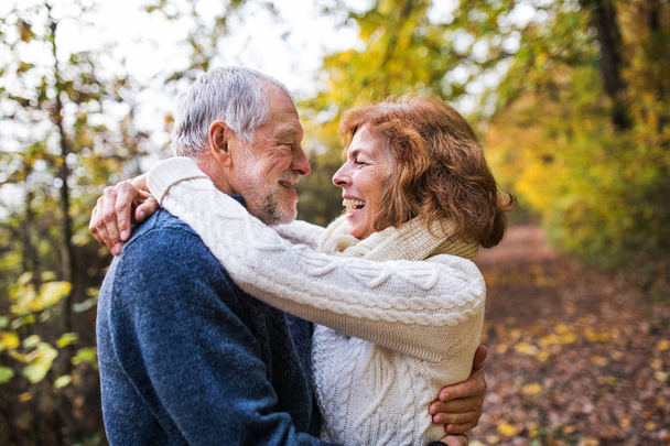 Senior couple looking at each other in an autumn nature, hugging. - Fotografie, Obrázek