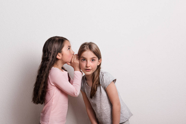 Una niña pequeña susurrando algo en un oído de su amigo
. - Foto, Imagen