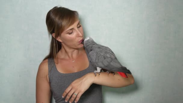 SLOW MOTION CLOSE UP: Adorable friendly African grey parrot sitting on young woman 's finger, talking and giving kisses on her lips. Любящая счастливая хозяйка улыбается и целует птицу на острый клюв
 - Кадры, видео