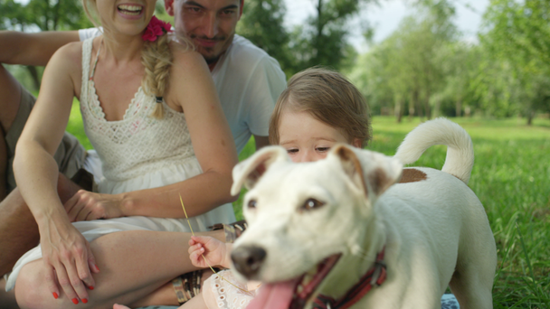 Αργή κίνηση, Close Up, Dof: Χαριτωμένο μικρό κατοικίδιο ζώο σκυλί βλέποντας πάνω αξιολάτρευτο μωρό κορίτσι παίζει με λεπίδα της χλόης σε μαλακή κουβέρτα στο όμορφο Central park. Αρκετά χαμογελαστός mum και περήφανος μπαμπάς κάθεται εκτός από - Πλάνα, βίντεο