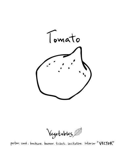 Hand drawn food ingredients - vegetable and fruit illustrations - vector - Vektor, obrázek