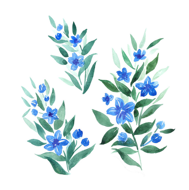 watercolor twigs with blue flowers, decorative botanical elements for design - 写真・画像