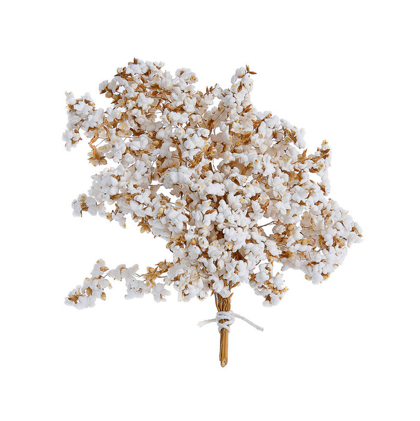 Bouquet popped rice isolate on white background - Photo, Image