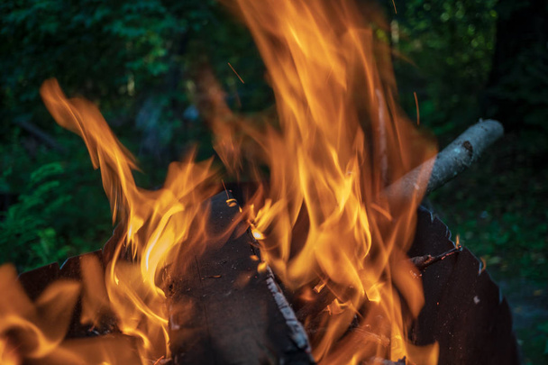 Brand in de barbecue, brandhout, brandt - Foto, afbeelding