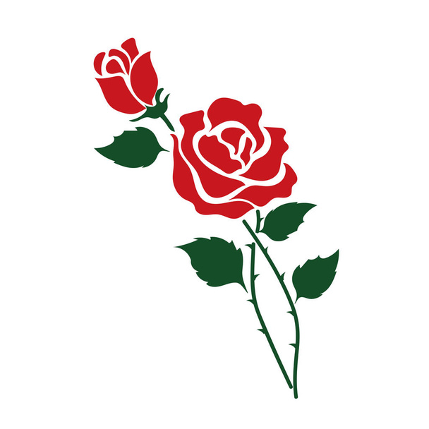 Цветок природы красная роза, векторный ботанический сад цветочный лист растения
. - Вектор,изображение