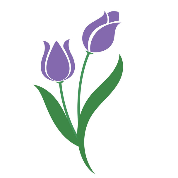 Natura Kwiat Purpurowy Tulipan, wektor botaniczny ogród kwiatowy liść roślina. - Wektor, obraz