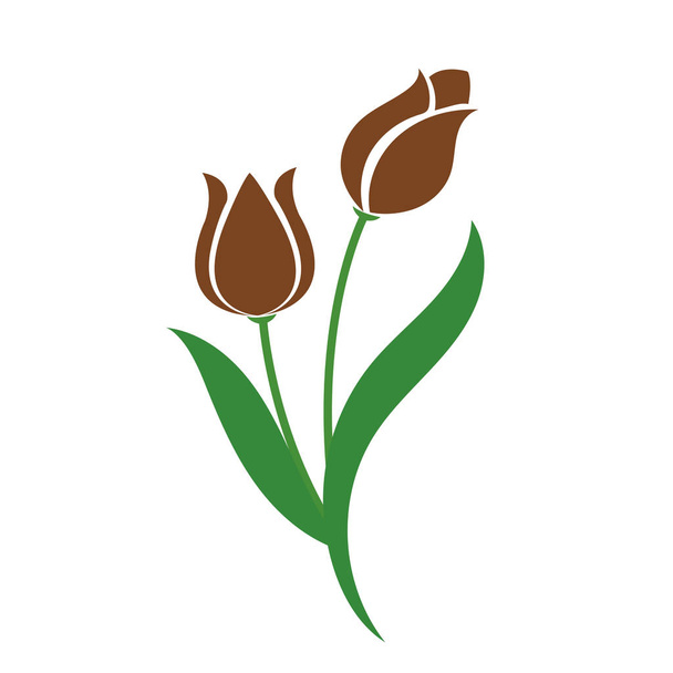 Природа квітка коричневий тюльпан, векторний ботанічний сад квітковий лист рослини
. - Вектор, зображення
