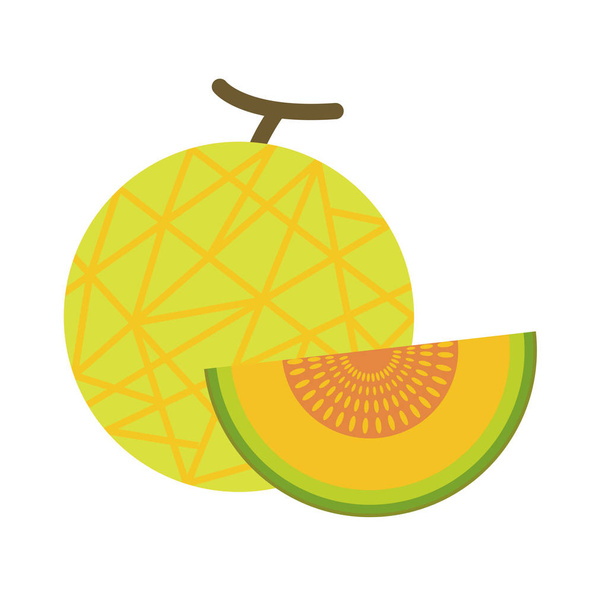 Zdravé bio čisté meloun, barevné tropické přírody čerstvé ovoce objekty. - Vektor, obrázek