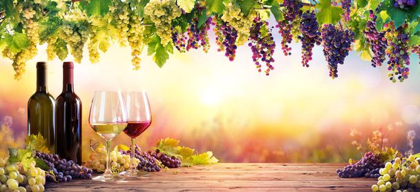 Bouteilles Et Lunettes De Vin Avec Raisins Au Coucher Du Soleil
 - Photo, image