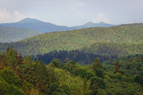 Bieszczady Mountains in Poland, view from tourist tower in Szczerbanowka village - Photo, Image