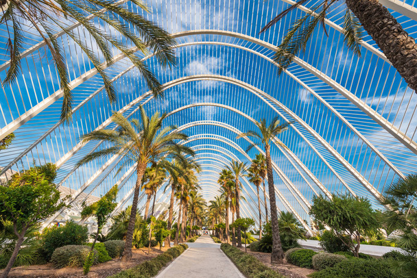 Umbracle nowoczesne palm tree park w Walencja, Hiszpania. - Zdjęcie, obraz