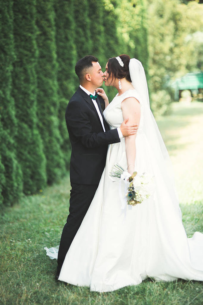 Felice coppia di nozze a piedi in un parco botanico - Foto, immagini