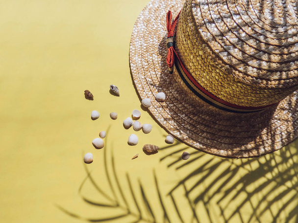 Vakantie, vakantie tropisch strand from above - boom palmbladeren en een stro hoed. schelpen. Stijl Top View groepsobjecten - Foto, afbeelding