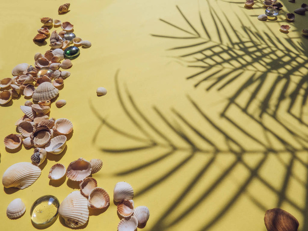 Vacaciones, vacaciones playa tropical desde arriba hojas de palmera. conchas marinas. Estilo Top View Group Objetos
 - Foto, Imagen