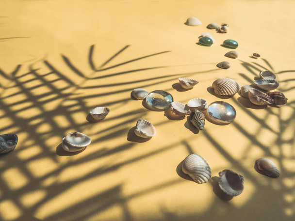Відпочинок, відпустка тропічний пляж зверху - пальмове листя. черепашки. Стиль об'єктів групи згори перегляду
 - Фото, зображення