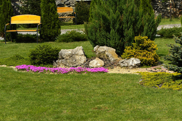 Decorative stones on the ground and green decorative bush, spacious walkways at the end and green grass. A small garden with a sense of design. - Photo, Image
