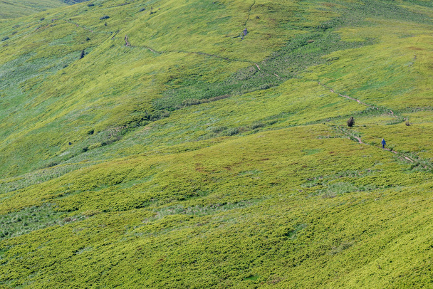 Aerial view from peak of Halicz mount in Bieszczady National Park, Subcarpathian Voivodeship of Poland - Photo, Image