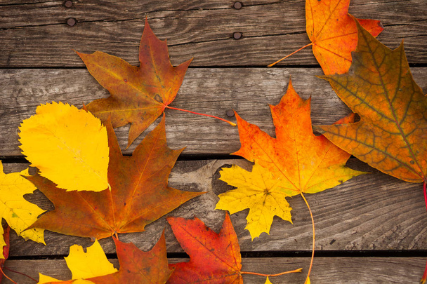 Žlutá červená javorové listy na tmavě hnědých deskách. Na podzim. Dřevěné pozadí. - Fotografie, Obrázek