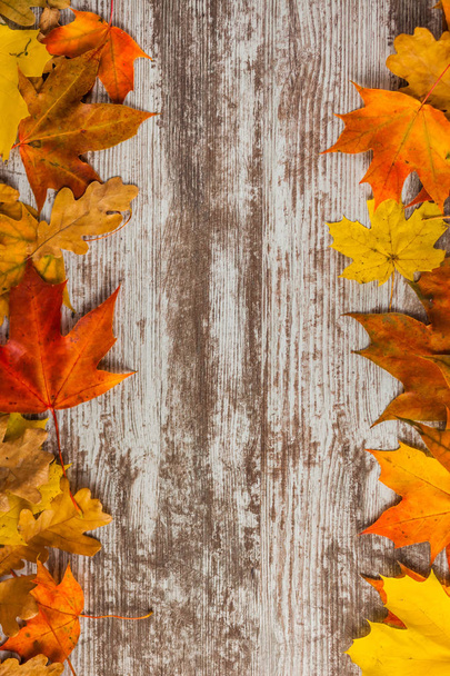 Frame of autumn leaves on wooden background. Vertical. Yellow Red. - Photo, Image