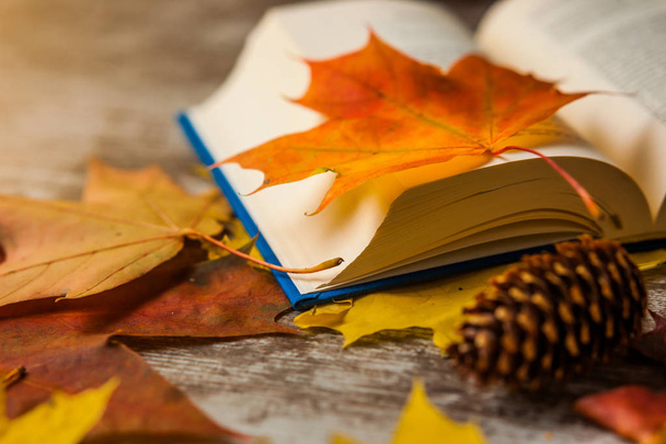 aufgeschlagenes Buch mit Herbstblättern darauf. gelb orange rot. Hintergrund. - Foto, Bild