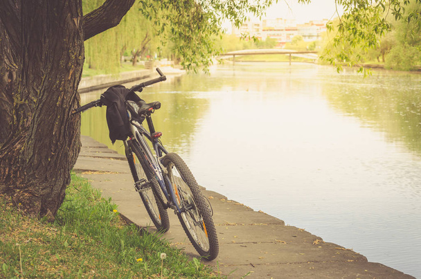 bicycle track in park near river/walk by bicycle near the river - Zdjęcie, obraz