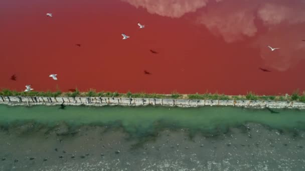 Letecká dron pohled solných pánví, solivar blízko Burgas, Bulharsko. - Záběry, video