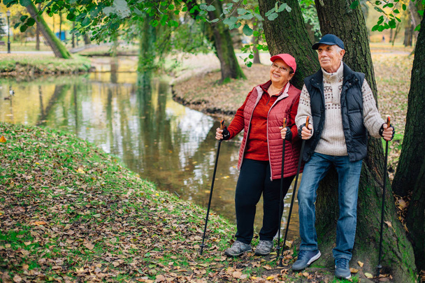 Pretty senior couple standing with nordic walking poles in colorful autumn park. Mature woman and old man resting outdoors. - Fotoğraf, Görsel