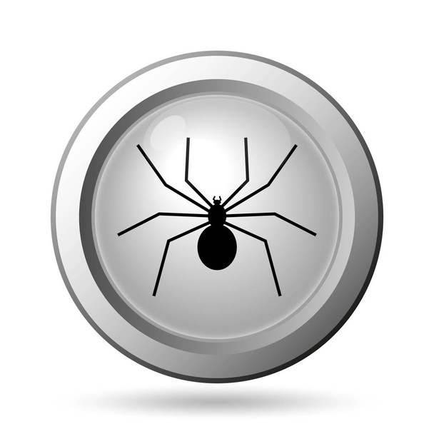 Spider icon - Foto, Imagen