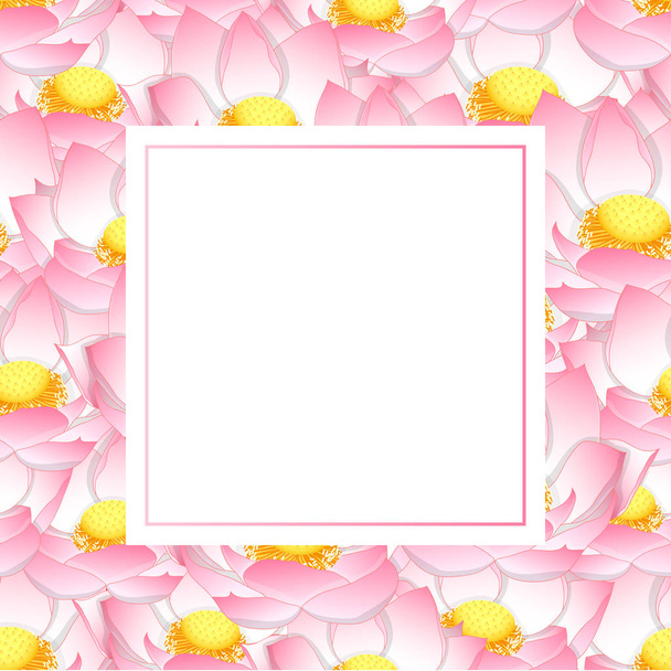 Pink indiai lótusz Banner kártya Nelumbo nucifera, Szent lotus, az indiai, egyiptomi bab bean. Nemzeti virág, India és Vietnam. Vektoros illusztráció. - Vektor, kép
