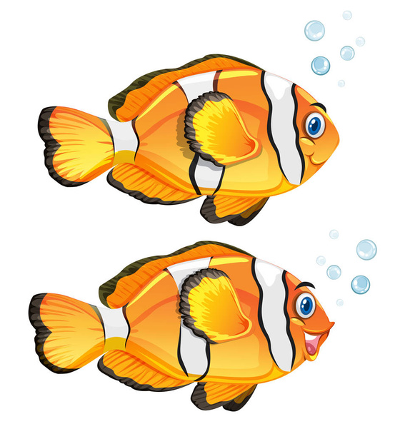 Un set di pesci pagliaccio su sfondo bianco illustrazione
 - Vettoriali, immagini