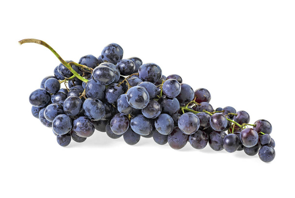 Фиолетовый виноград на белом фоне
 - Фото, изображение
