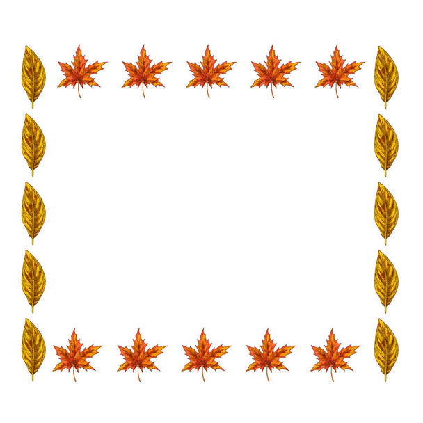 Schöner Rahmen aus hellem Ahorn und Pappeln Blätter isoliert auf weißem Hintergrund. Herbstliches Design. Vektorillustration - Vektor, Bild