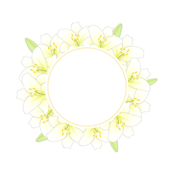White Lily Flower Banner Wreath. Vector Illustration. - Vector, Imagen