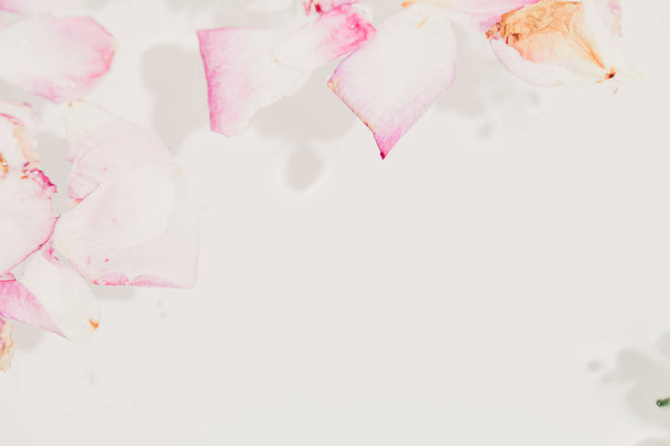 Sfondo floreale astratto. Bellissimi petali di rose appassite con un galleggiante in acqua su uno sfondo bianco
 - Foto, immagini