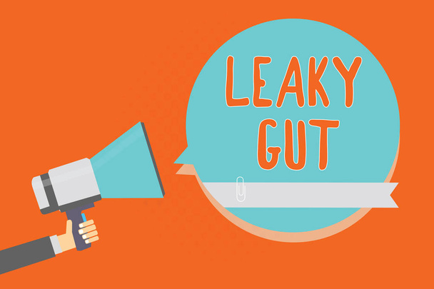 Conceptual hand writing showing Leaky Gut. Business photo showcasing A condition in which the lining of small intestine is damaged Man holding megaphone blue speech bubble orange background - Photo, Image