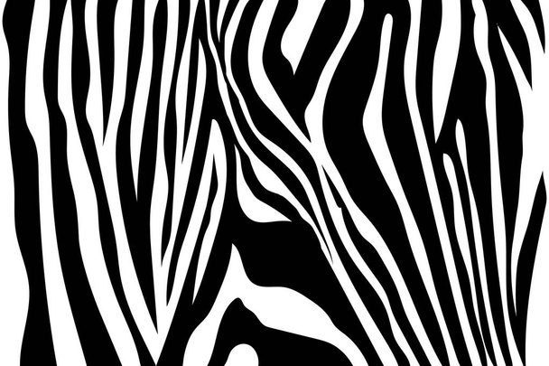Zebra çizgili desen. Zebra baskı, hayvan cilt, kaplan şeritleri, soyut desen, satır arkaplanı, kumaş. Şaşırtıcı elle çizilmiş vektör çizim. Poster, afiş. Siyah-beyaz sanat tek renkli - Vektör, Görsel
