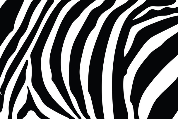 Zebra çizgili desen. Zebra baskı, hayvan cilt, kaplan şeritleri, soyut desen, satır arkaplanı, kumaş. Şaşırtıcı elle çizilmiş vektör çizim. Poster, afiş. Siyah-beyaz sanat tek renkli - Vektör, Görsel