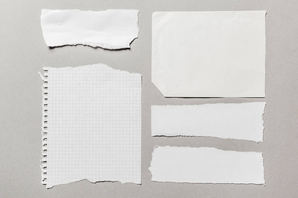 pedaços de papel rasgado branco, close-up
  - Foto, Imagem