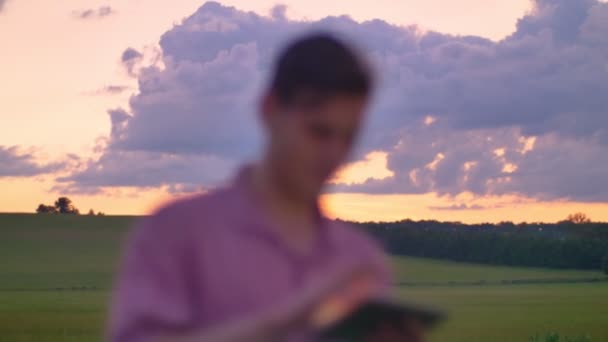 Handsome young man typing on tablet and standing on wheat or rye field, beautiful pink sky above. - Video