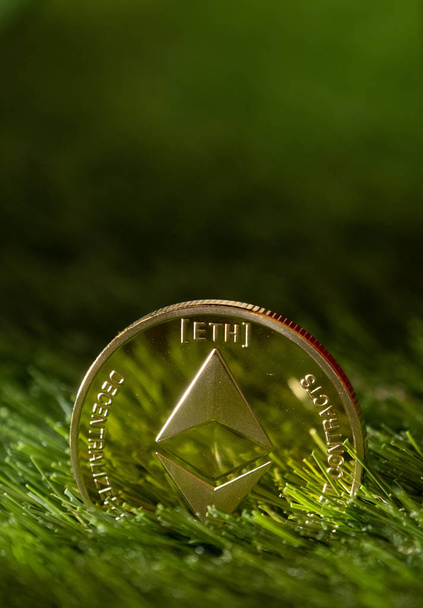 Ethereum coin on green grass - Photo, Image