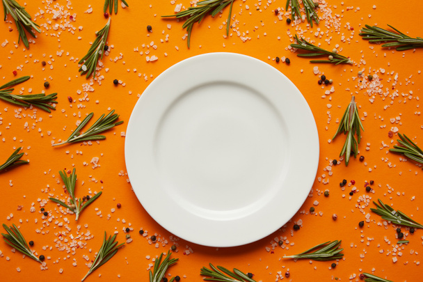 top view of empty round white plate, rosemary, salt and peppercorns on orange - Photo, Image