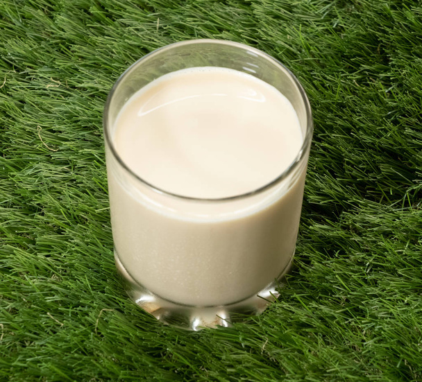 Ένα ποτήρι γάλα για την πράσινη χλόη, κοντινό πλάνο - Φωτογραφία, εικόνα