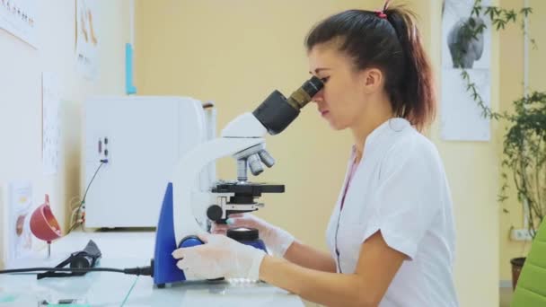 Veterinary worker using microscope for testing blood samples of animals - Materiał filmowy, wideo