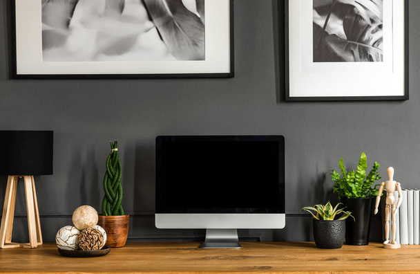 Rostliny a koule na dřevěné desce s počítačového monitoru v šedém prostoru interiéru s plakáty - Fotografie, Obrázek