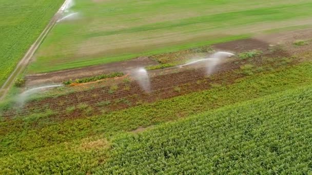 Rolnych zraszacz — obszar nawadniania, widok z lotu ptaka - Materiał filmowy, wideo