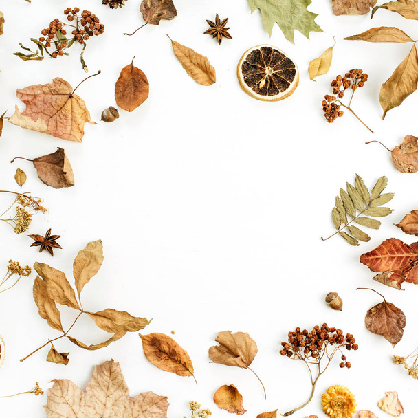 Рамка сухой осенью осенние листья, лепестки и апельсины на белом фоне
 - Фото, изображение