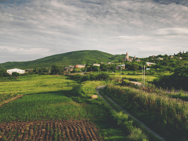 beautiful green fields, road and hills near village in georgia - Fotoğraf, Görsel