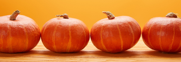 horizontal view of ripe fresh pumpkins on wooden surface on orange - Foto, Imagem