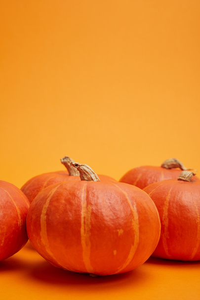 fresh ripe bright pumpkins on orange background - Photo, image